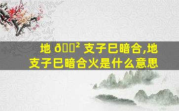 地 🌲 支子巳暗合,地支子巳暗合火是什么意思